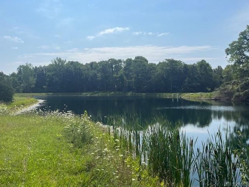 8576 Dillman Road, Camden, OH 45311 Photo 65