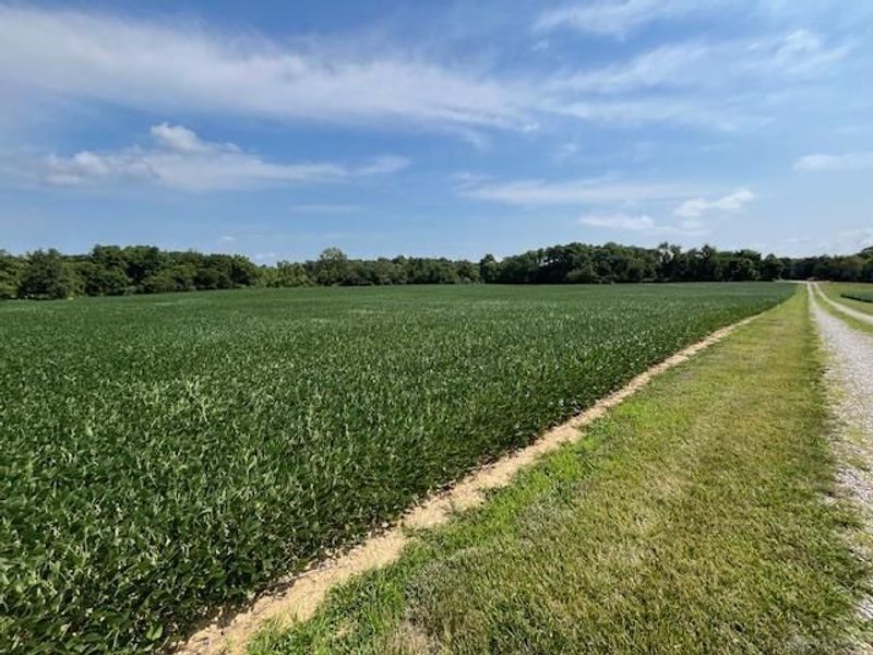 8576 Dillman Road, Camden, OH 45311 Photo 69
