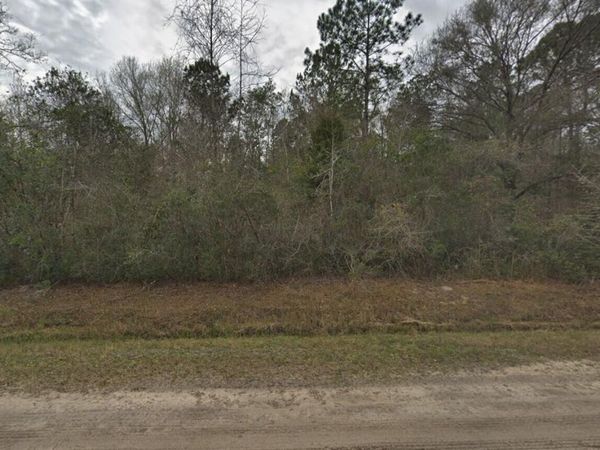 10135 Nikolich Avenue, Hastings, FL 32145