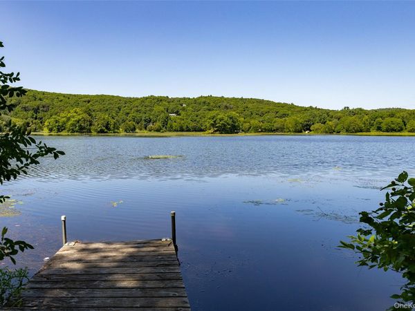 31 Lake Shore Drive, Pine Plains, NY 12567
