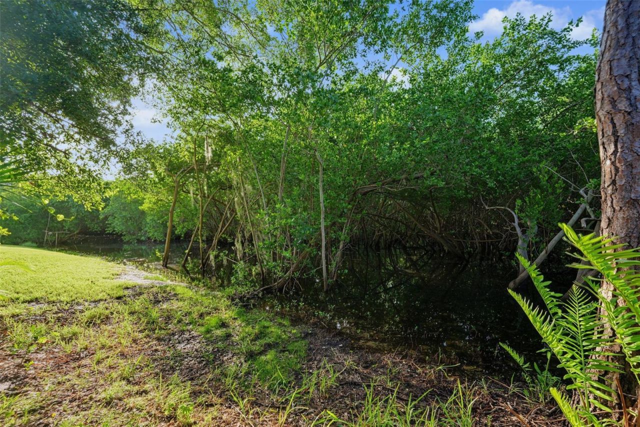 3010 Longbrooke Way, Clearwater, FL 33760 Photo