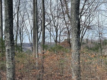 Lot 84 Stillwater , Russell Springs, KY 42642