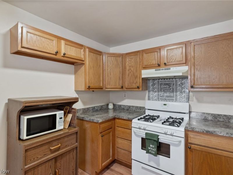 223 Hawk Avenue, Akron, OH 44312 Photo 10