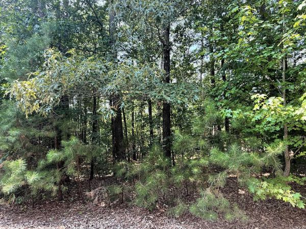 10 Nina Drive , Hot Springs Village, AR 71909
