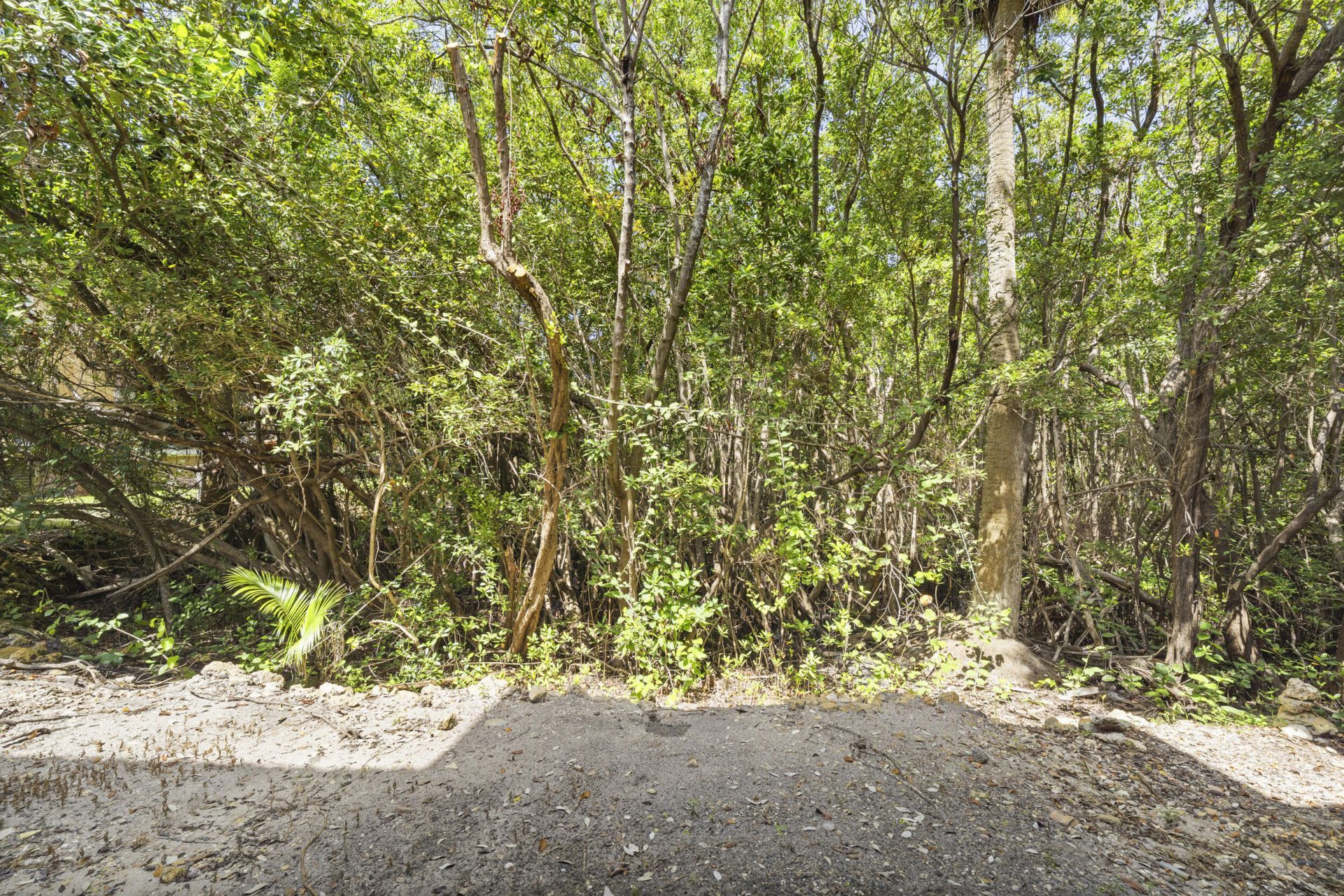 1100 Scotia Drive, Unit 102, Hypoluxo, FL 33462 Photo