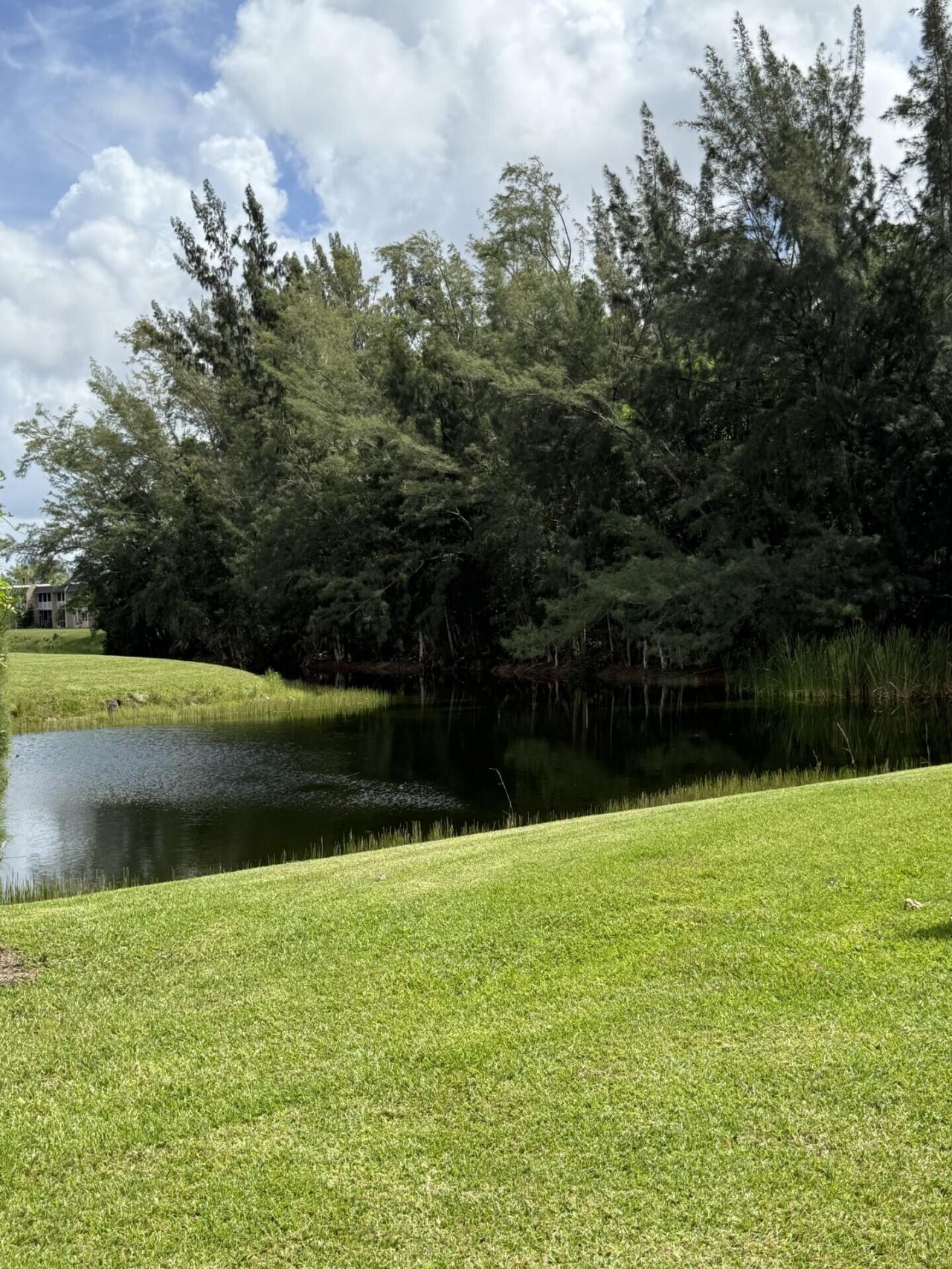 133 Lake Olive Drive, West Palm Beach, FL 33411 Photo