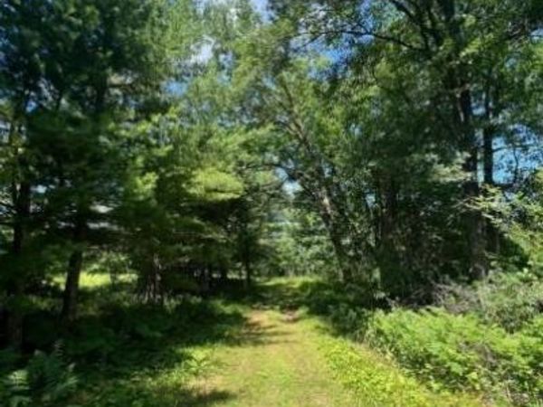 00000 Lily Lake Inn Road, Webster, WI 54893