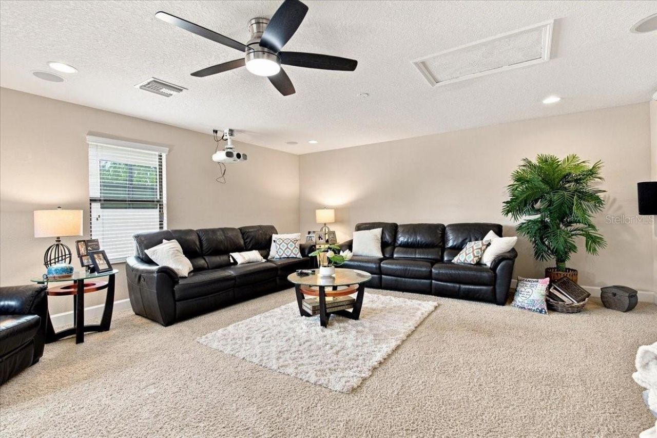 4508 Grand Lakeside Drive E, Palm Harbor, FL 34684 Photo