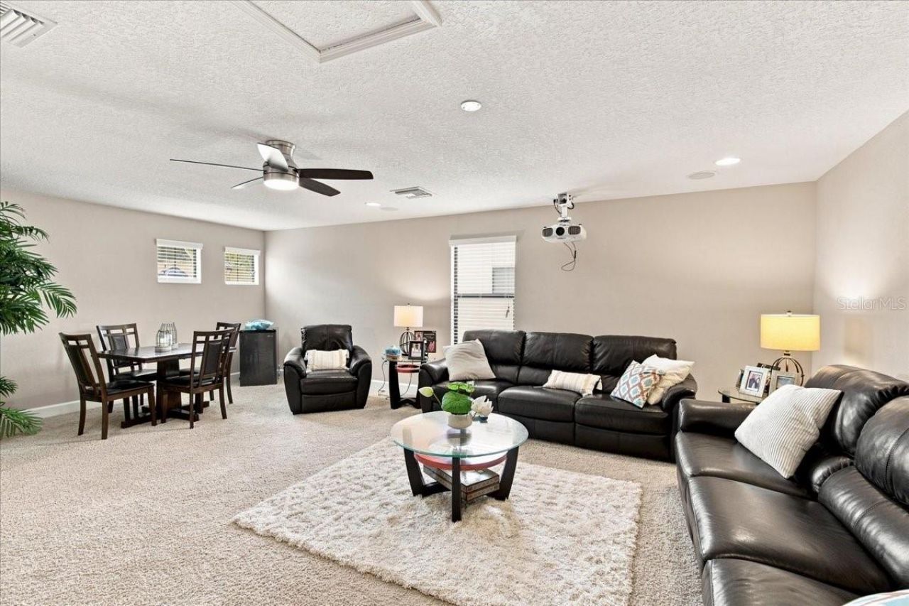 4508 Grand Lakeside Drive E, Palm Harbor, FL 34684 Photo