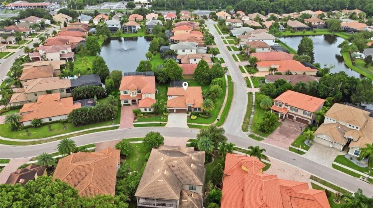 4508 Grand Lakeside Drive E, Palm Harbor, FL 34684 Photo