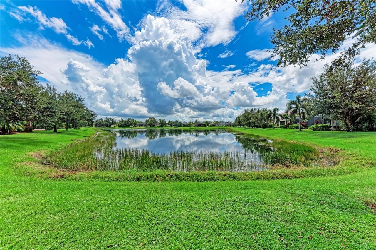12051 Forest Park Circle, Bradenton, FL 34211 Photo