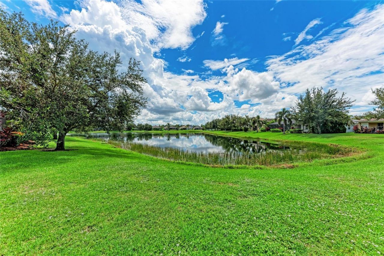 12051 Forest Park Circle, Bradenton, FL 34211 Photo