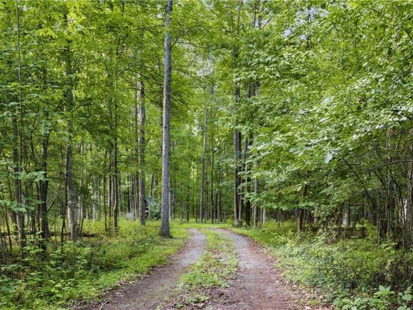 9400 Keuka Highland Dr {Silsbee Rd}, Hammondsport, NY 14840