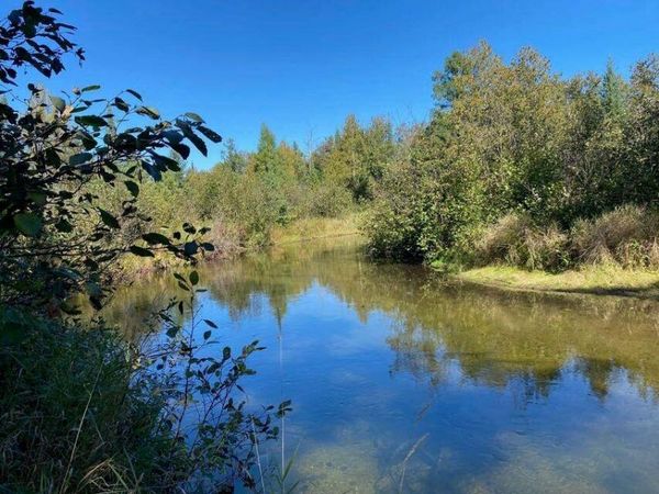 Lot 6 East Airport, Atlanta, MI 49709