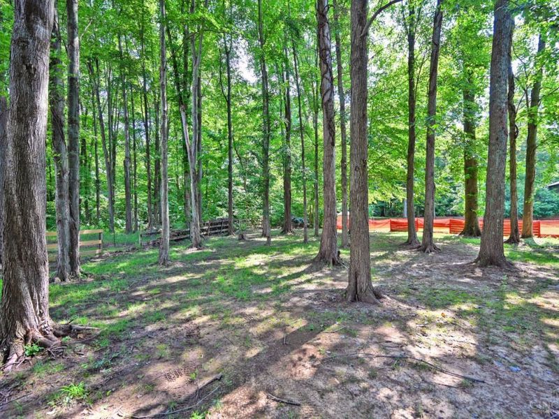2020 Cristata Court, Amelia, OH 45102 Photo 55