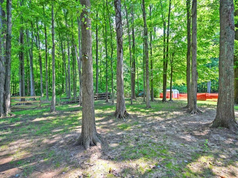 2020 Cristata Court, Amelia, OH 45102 Photo 56