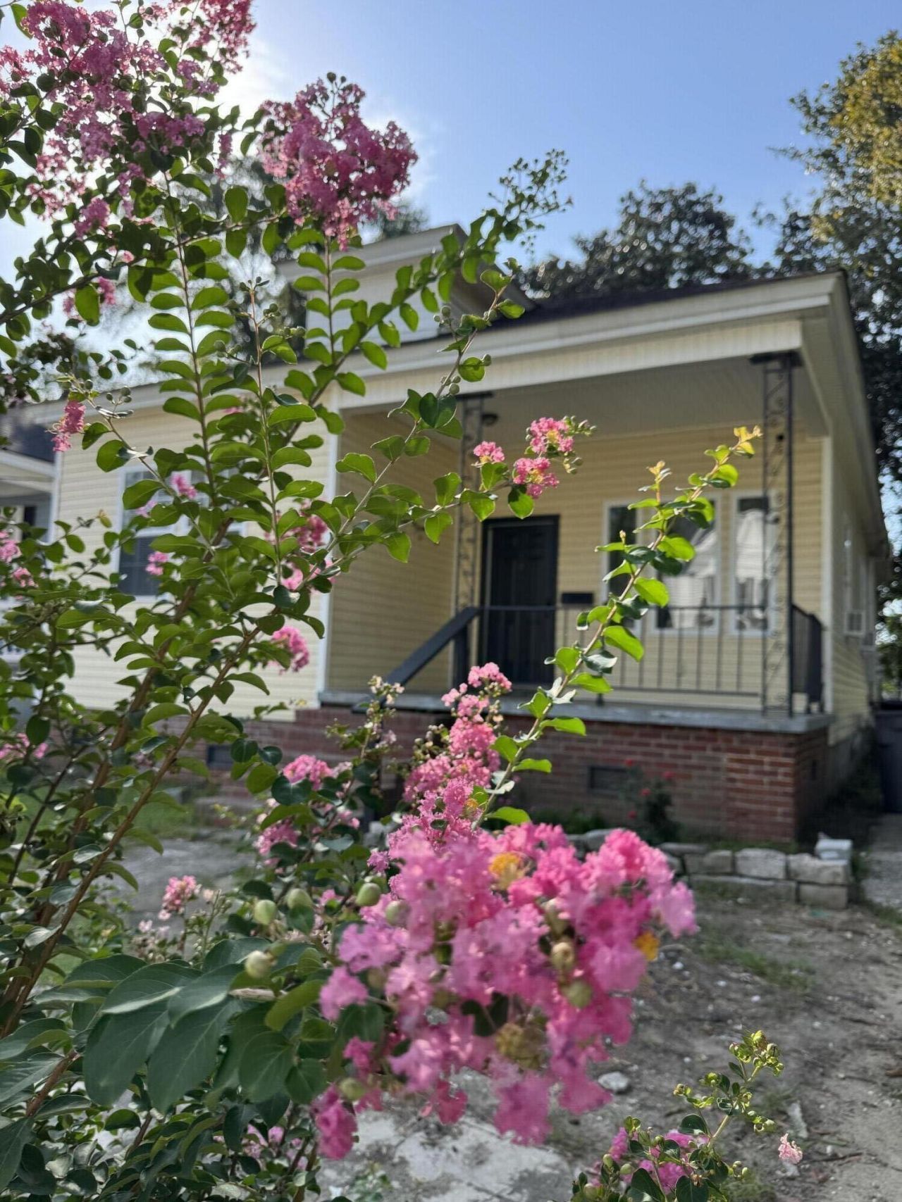 1811 Carlton Street Photo 5