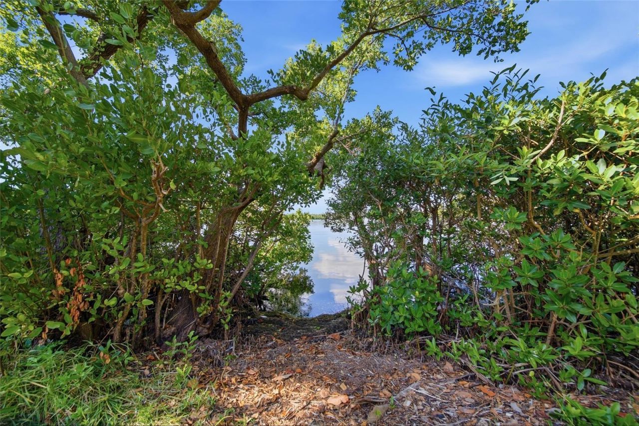 5092 Beach Drive Se, Unit A, Saint Petersburg, FL 33705 Photo