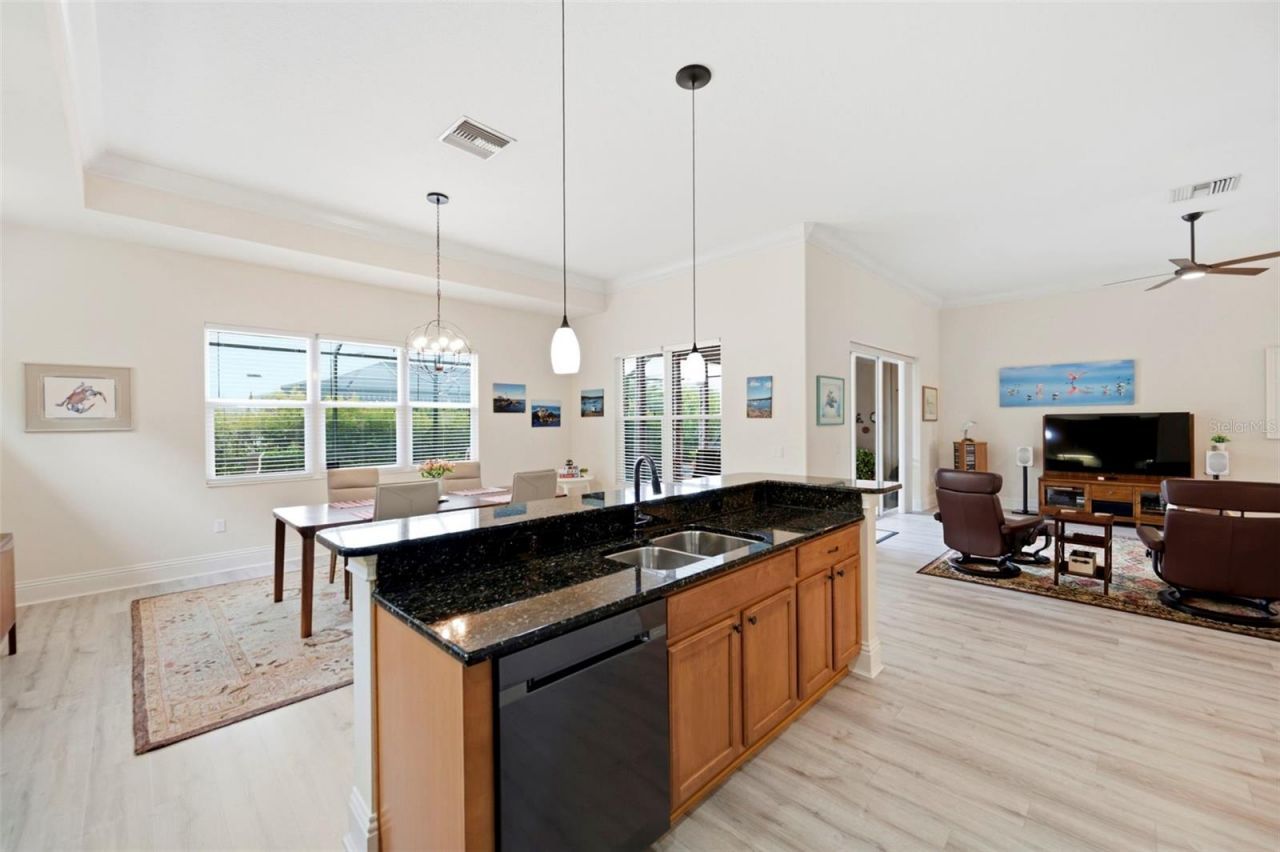 3850 Creekside Park Dr, Parrish, FL 34219 Photo