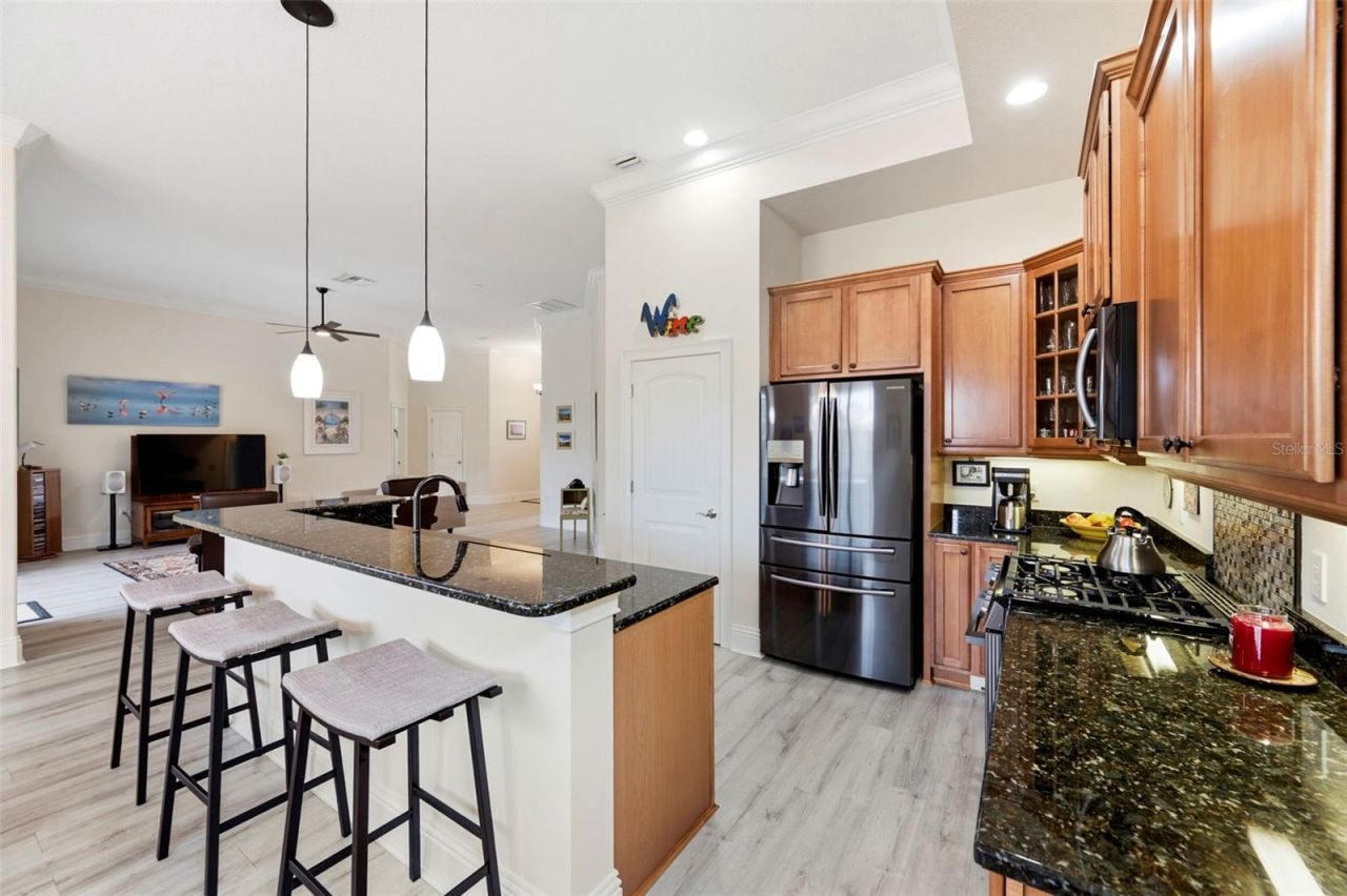 3850 Creekside Park Dr, Parrish, FL 34219 Photo