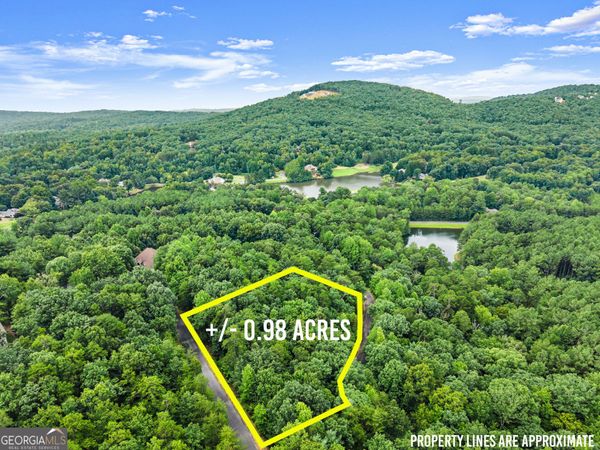 349 Golden Lane, Clarkesville, GA 30523