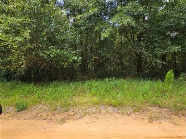 0 Spice Pond Road , Eight Mile, AL 36613