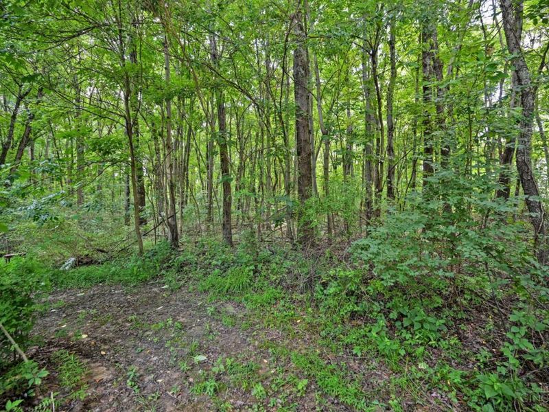 3617 State Route 222, Batavia, OH 45103 Photo 3