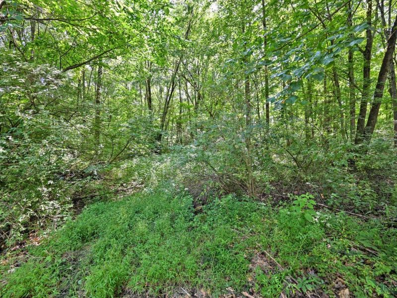 3617 State Route 222, Batavia, OH 45103 Photo 4