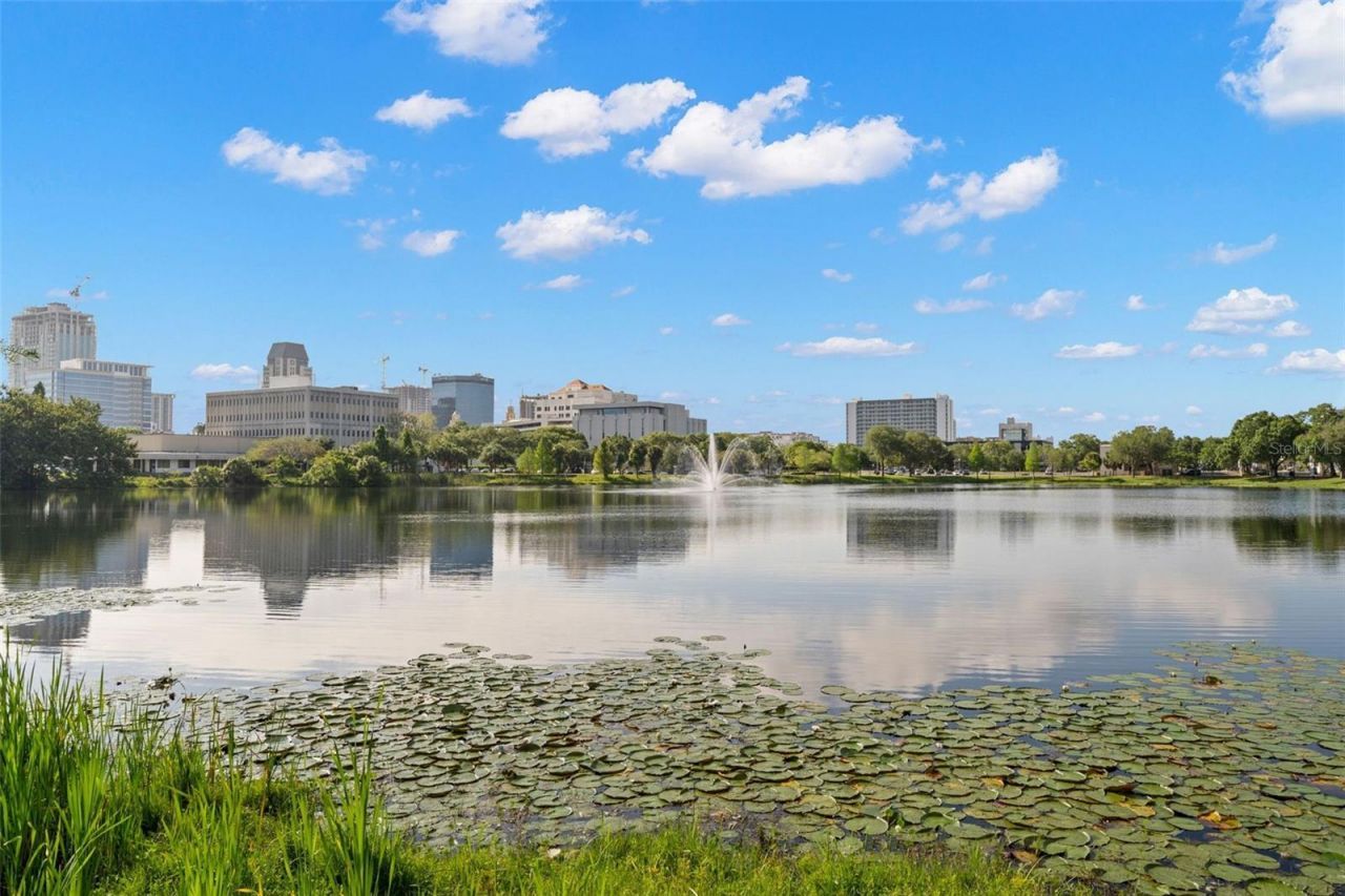 701 Mirror Lake Drive N, Unit 201, Saint Petersburg, FL 33701 Photo