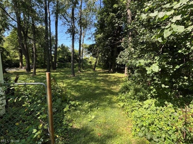 1569 Merrill Avenue, Akron, OH 44306 Photo 9