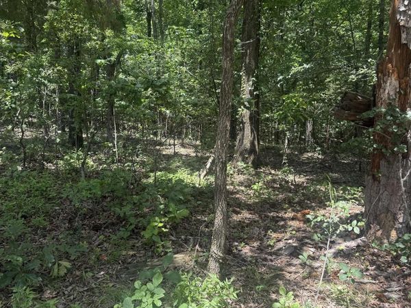 Greene 715 , Paragould, AR 72450