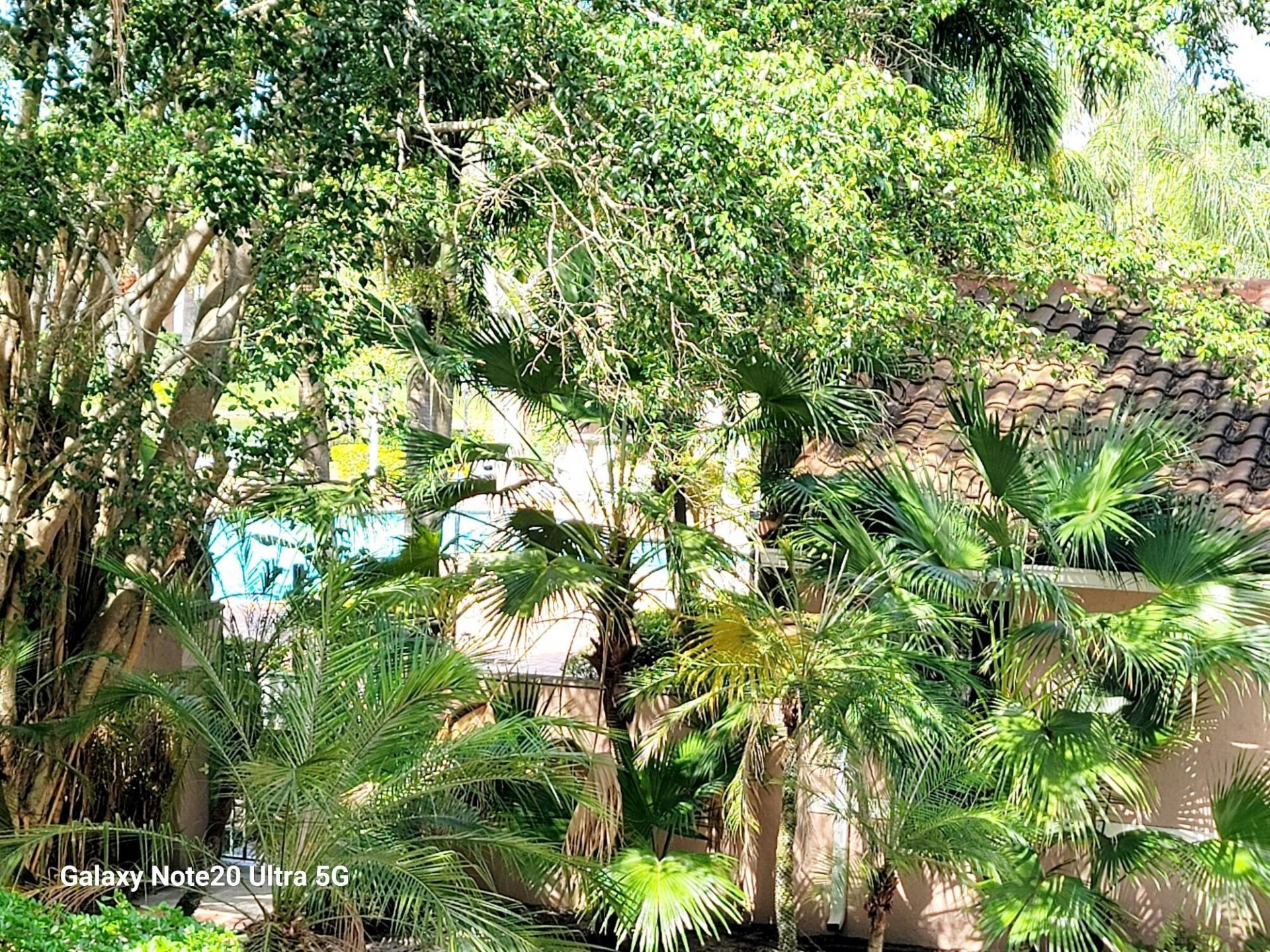12112 St. Andrews Place, Unit 210, Miramar, FL 33025 Photo