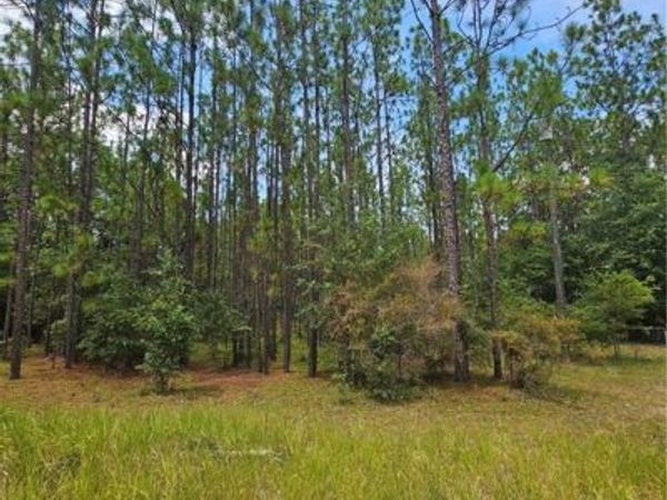 0 Spice Pond Drive , Eight Mile, AL 36613