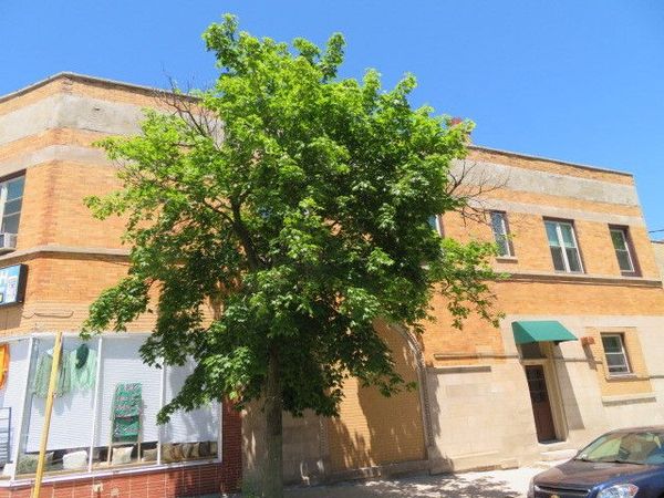 1552 W Highland Avenue , Unit 2E, Chicago, IL 60660