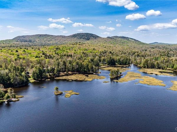 177 South Shore Acres , Old Forge, NY 13420