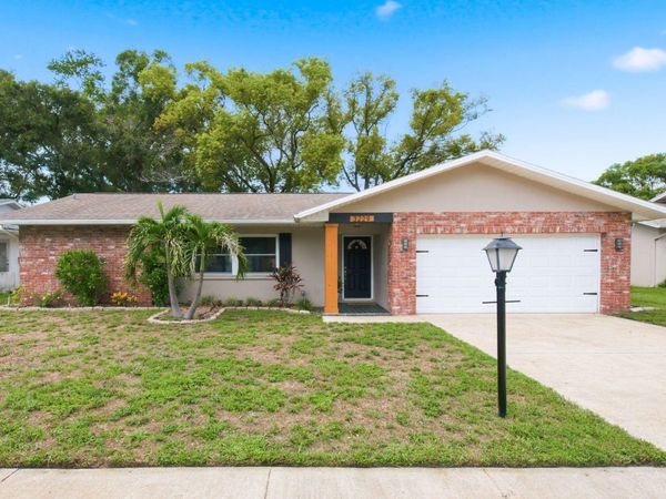 3229 SPANISH MOSS LANE , PALM HARBOR, FL 34684