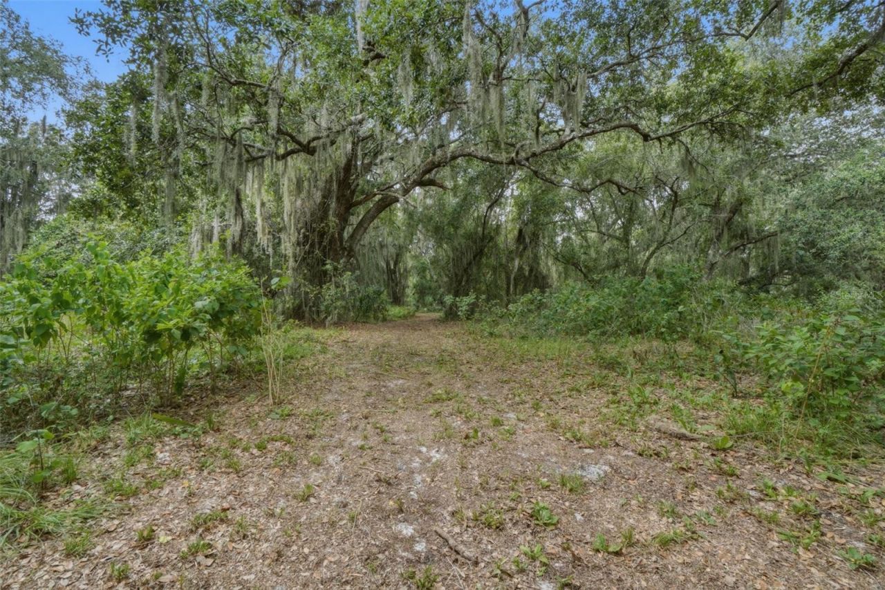 2794 Holiday Woods Drive, Kissimmee, FL 34744 Photo