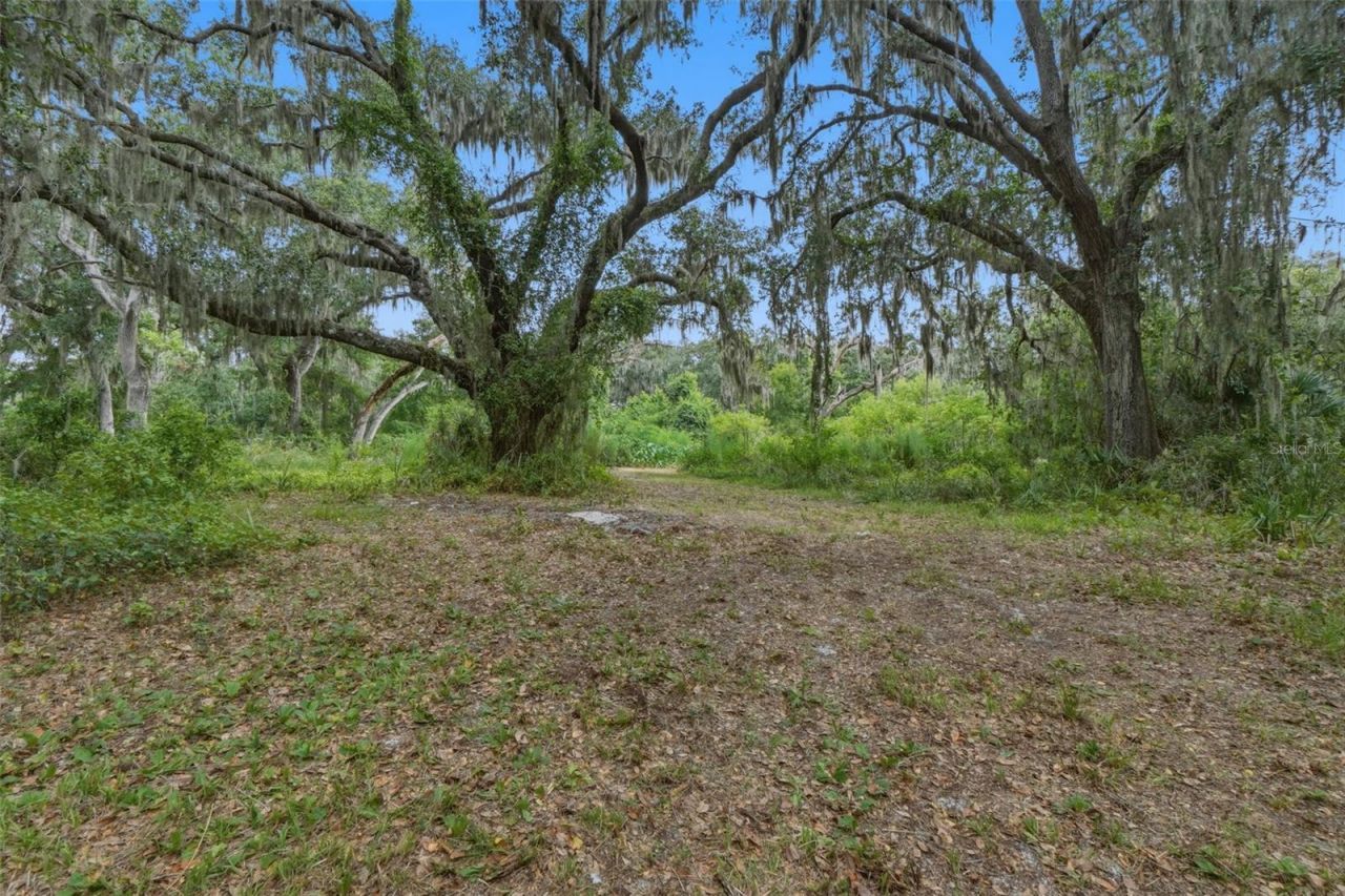 2794 Holiday Woods Drive, Kissimmee, FL 34744 Photo