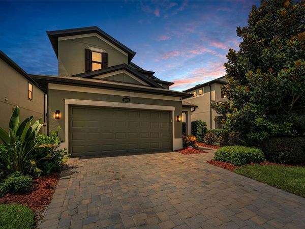 19576 BREYNIA DRIVE , LUTZ, FL 33558