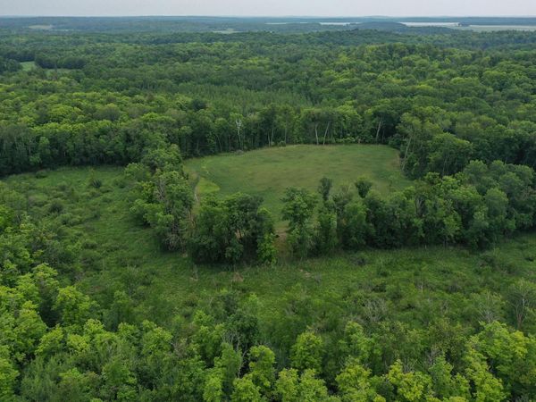 TBD N Cotton Lake Road , Rochert, MN 56578