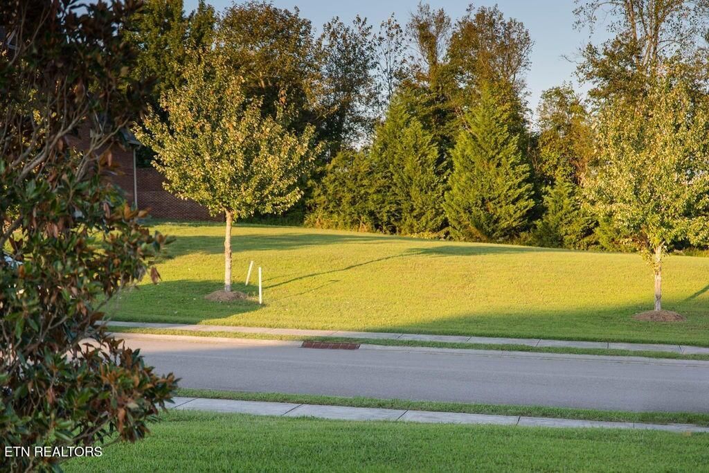 1568 Tsuga Drive, Alcoa, TN 37701 Main Photo