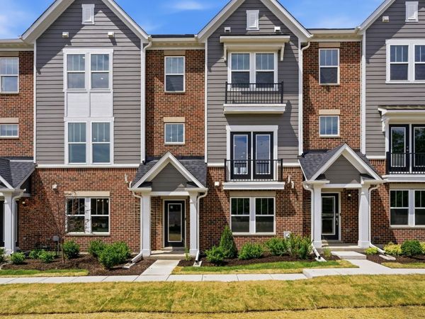 217 Steeple Bush Lane , Unit 10242, Schaumburg, IL 60193