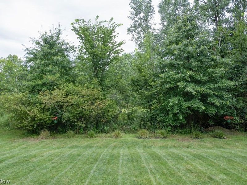 167 Park View Court, Peninsula, OH 44264 Photo 39