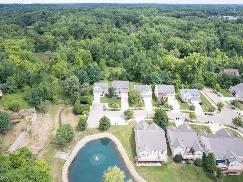 167 Park View Court, Peninsula, OH 44264 Photo 41