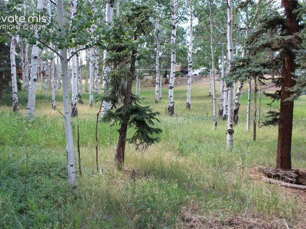 175 Club Drive, Woodland Park, CO 80863