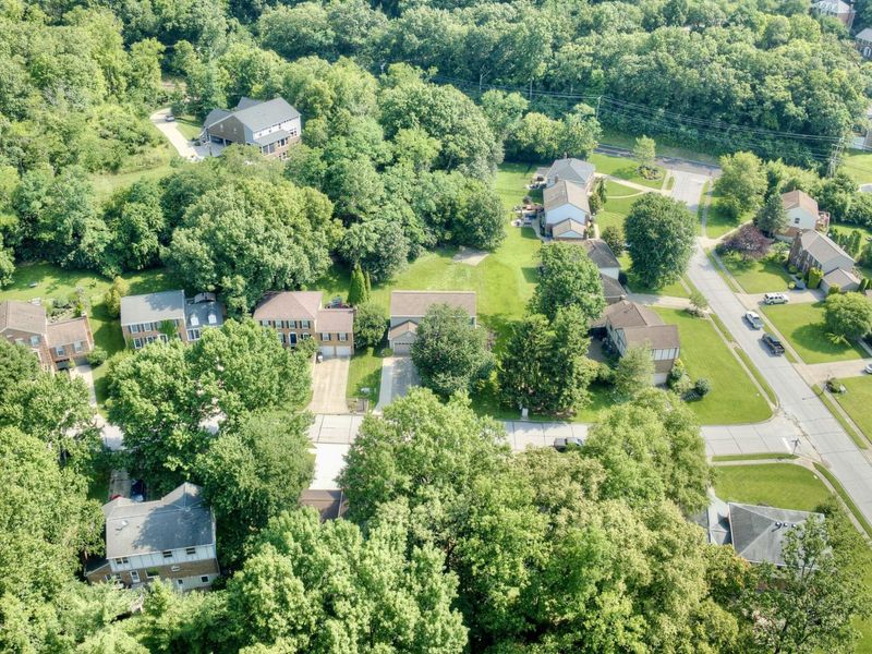 2064 Periwinkle Court, Crescent Springs, KY 41017 Photo 9
