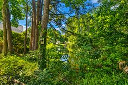 1281 Horseshoe Bend photo 4