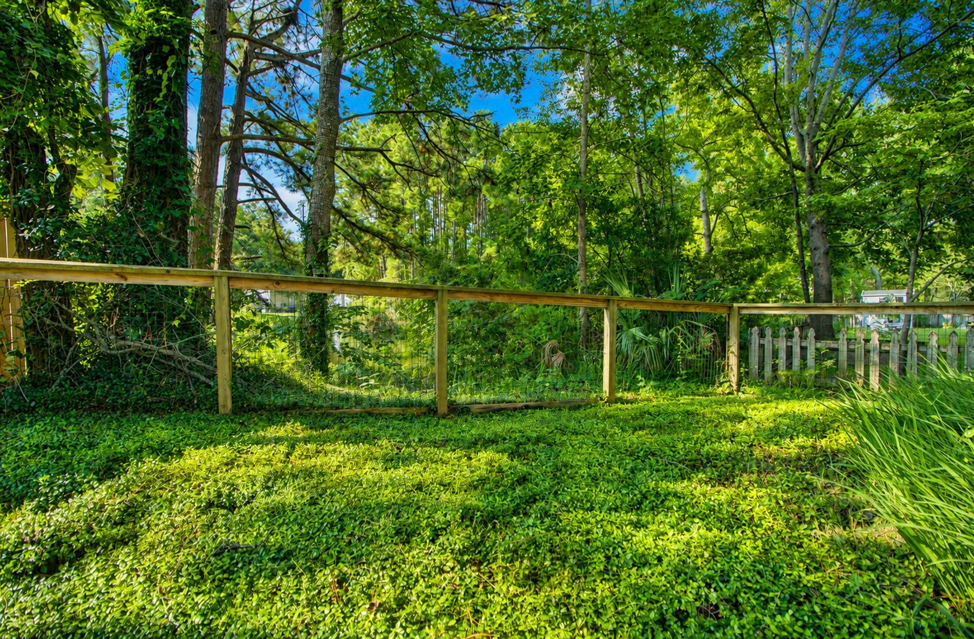 1281 Horseshoe Bend Photo 53