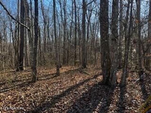 E Cove Rd, Monterey, TN 38574