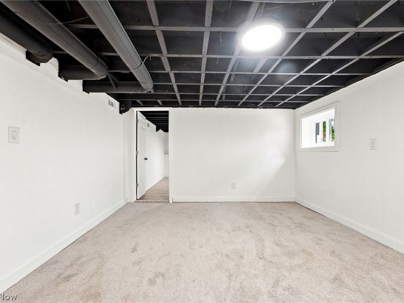 3615 W 134th Street, Cleveland, OH 44111 Photo 38